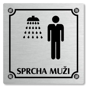 Sprcha muži, 100x100mm, stříbrná, Kansas